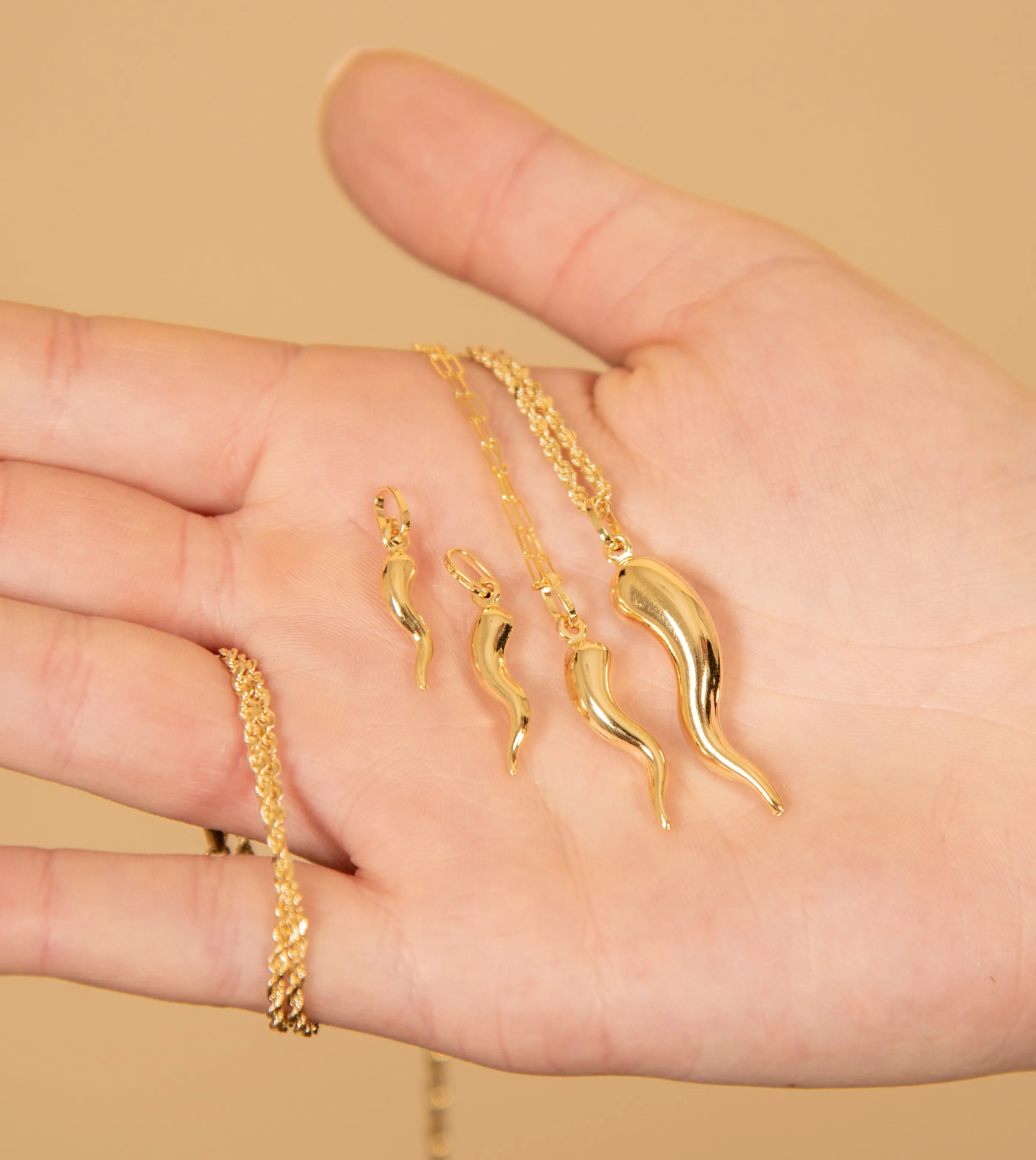 14k Gold Italian Horn Cornicello Necklace