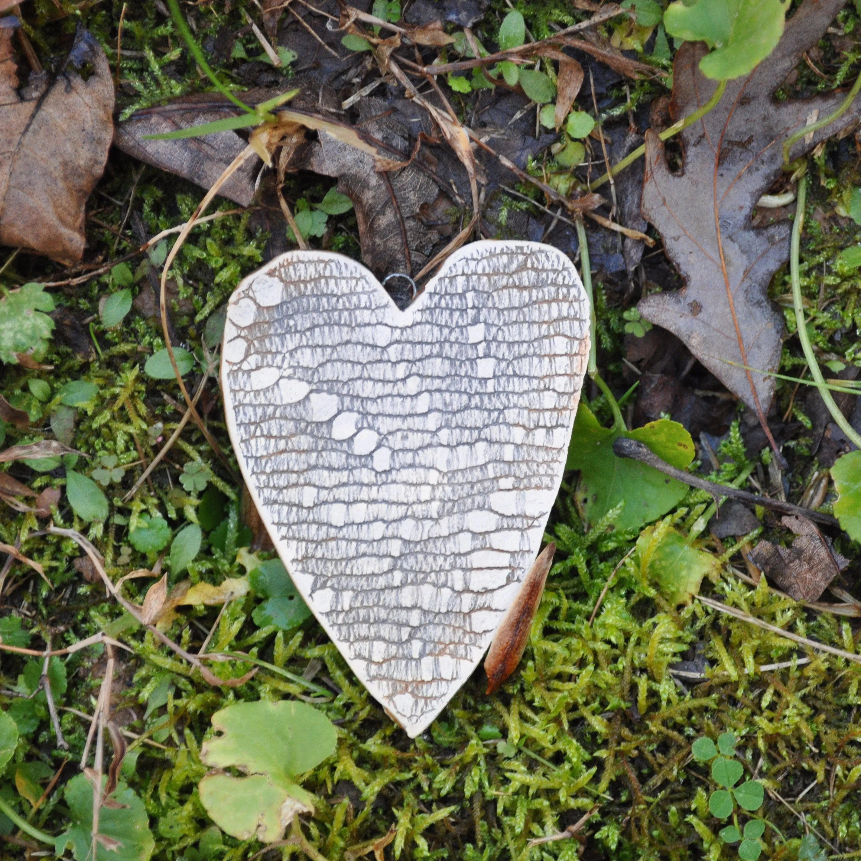 Clay Fossil Ornament, Shining Star