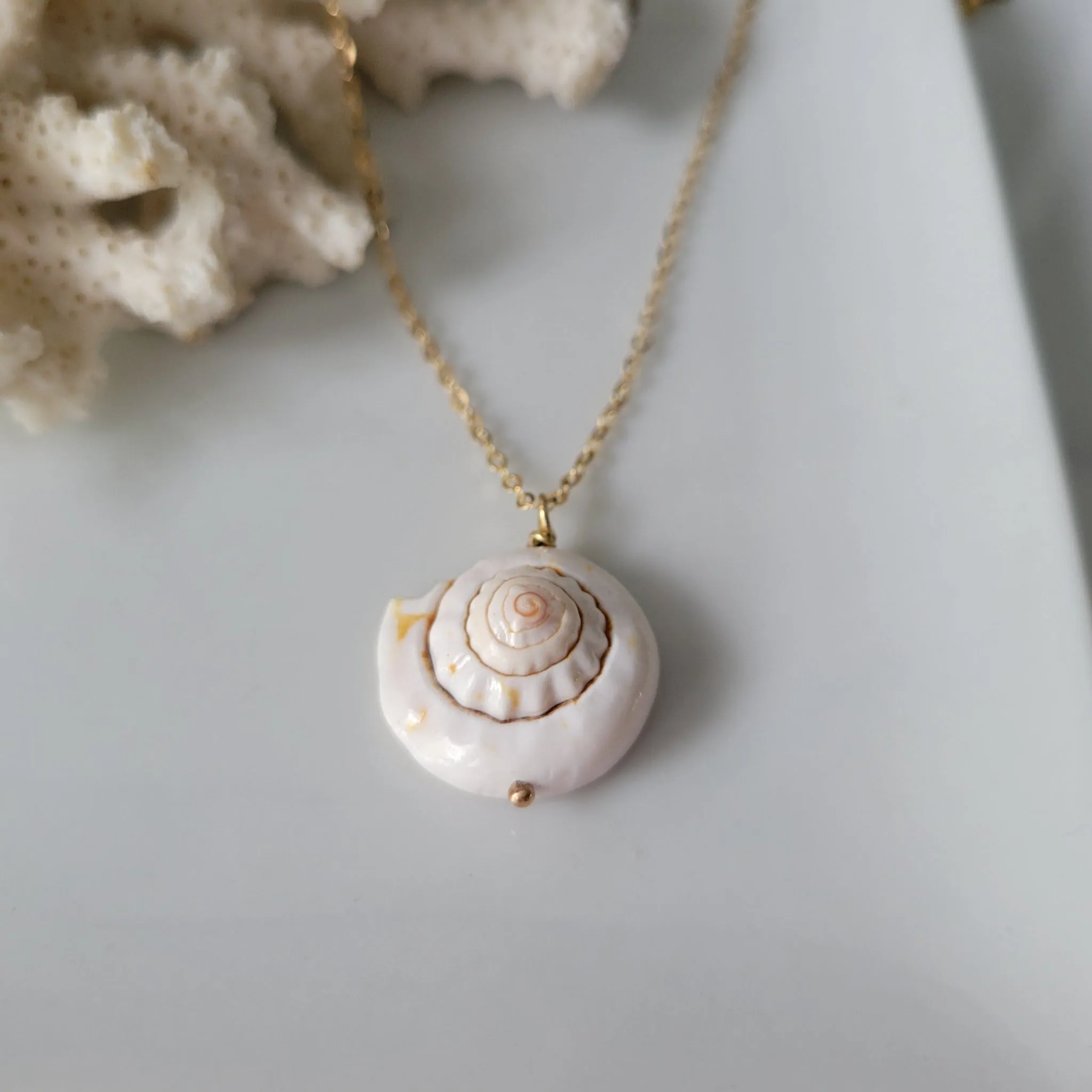 Unique Shell Drop Necklace - Sterling, Gold, or Rose Gold