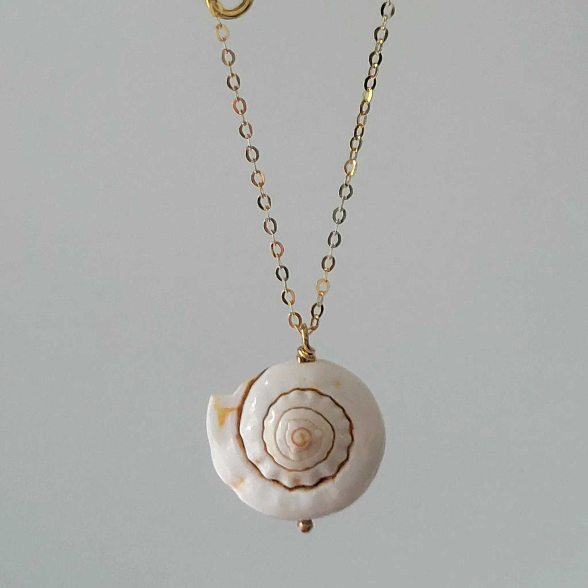 Unique Shell Drop Necklace - Sterling, Gold, or Rose Gold