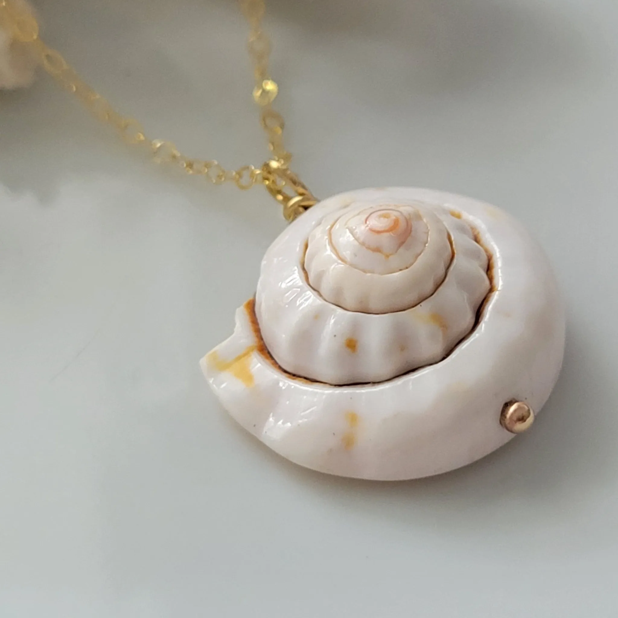 Unique Shell Drop Necklace - Sterling, Gold, or Rose Gold