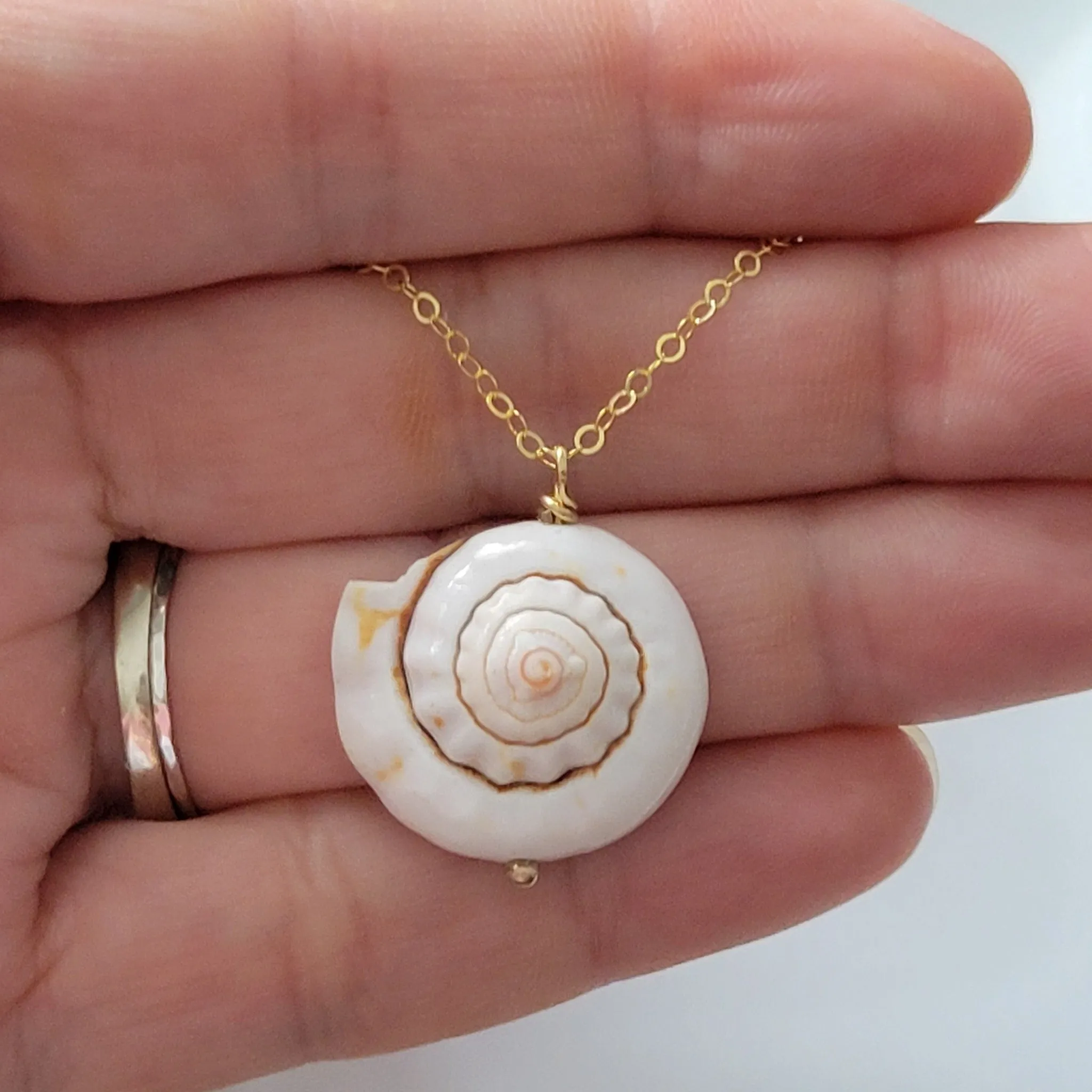Unique Shell Drop Necklace - Sterling, Gold, or Rose Gold