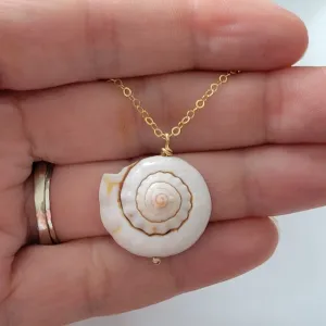 Unique Shell Drop Necklace - Sterling, Gold, or Rose Gold