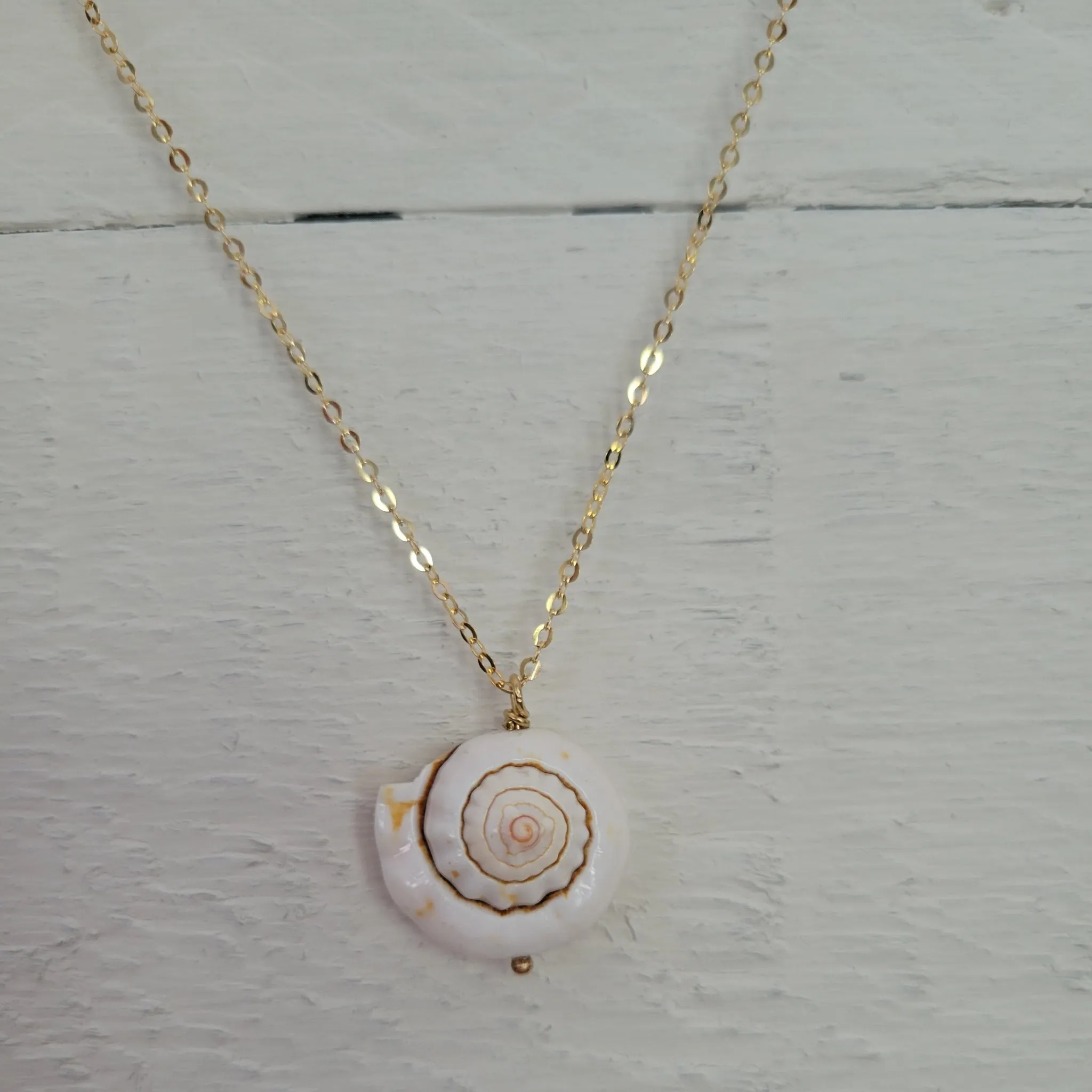 Unique Shell Drop Necklace - Sterling, Gold, or Rose Gold