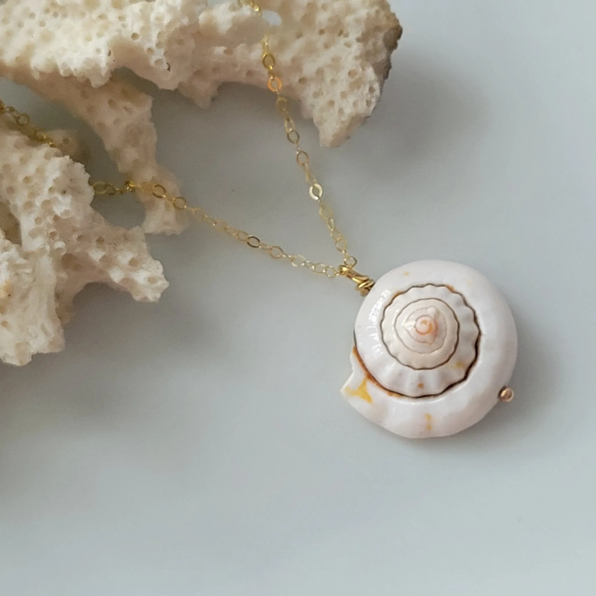 Unique Shell Drop Necklace - Sterling, Gold, or Rose Gold