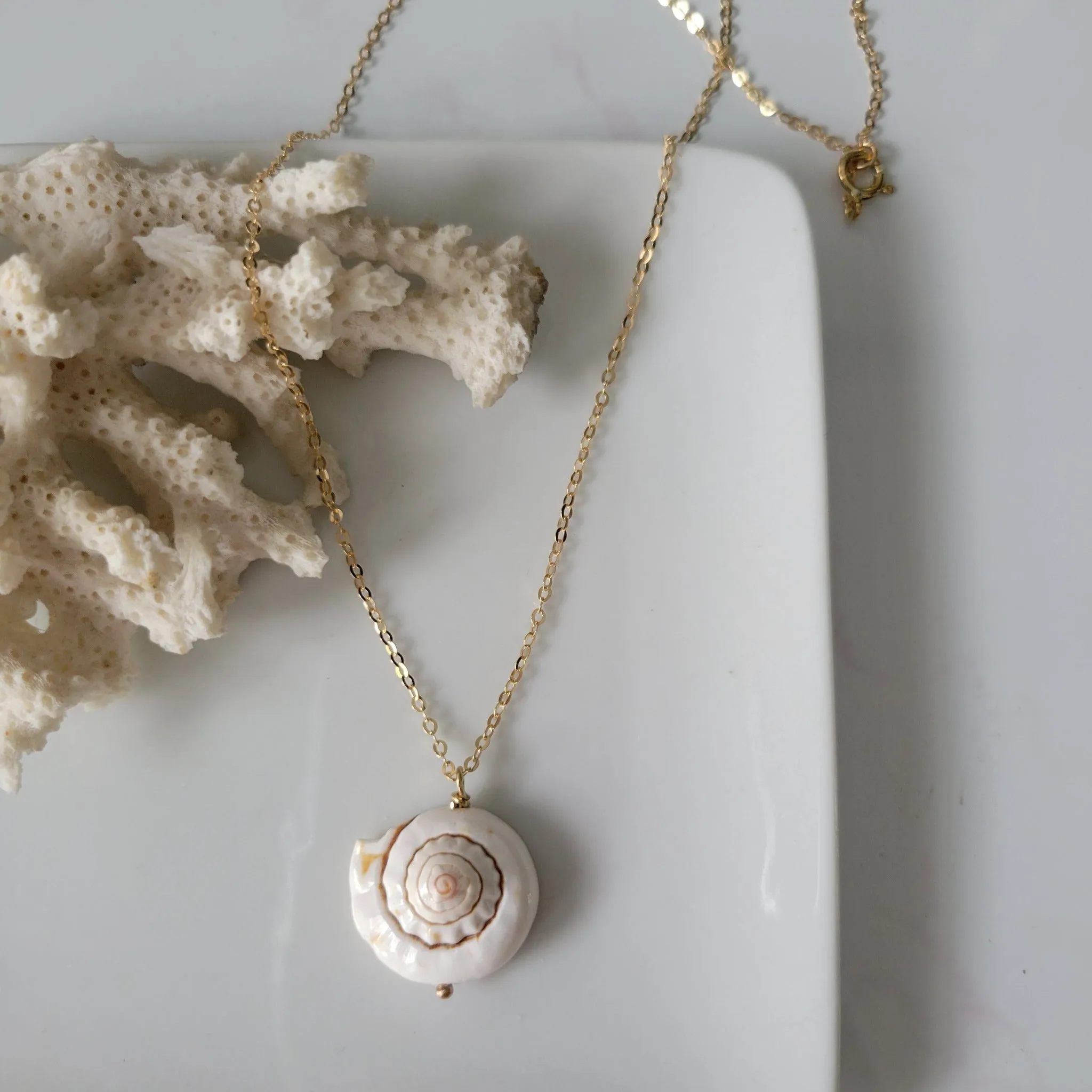 Unique Shell Drop Necklace - Sterling, Gold, or Rose Gold