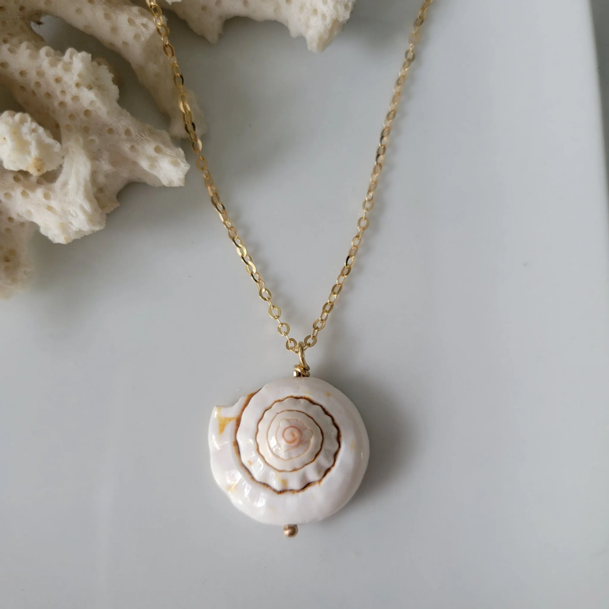 Unique Shell Drop Necklace - Sterling, Gold, or Rose Gold
