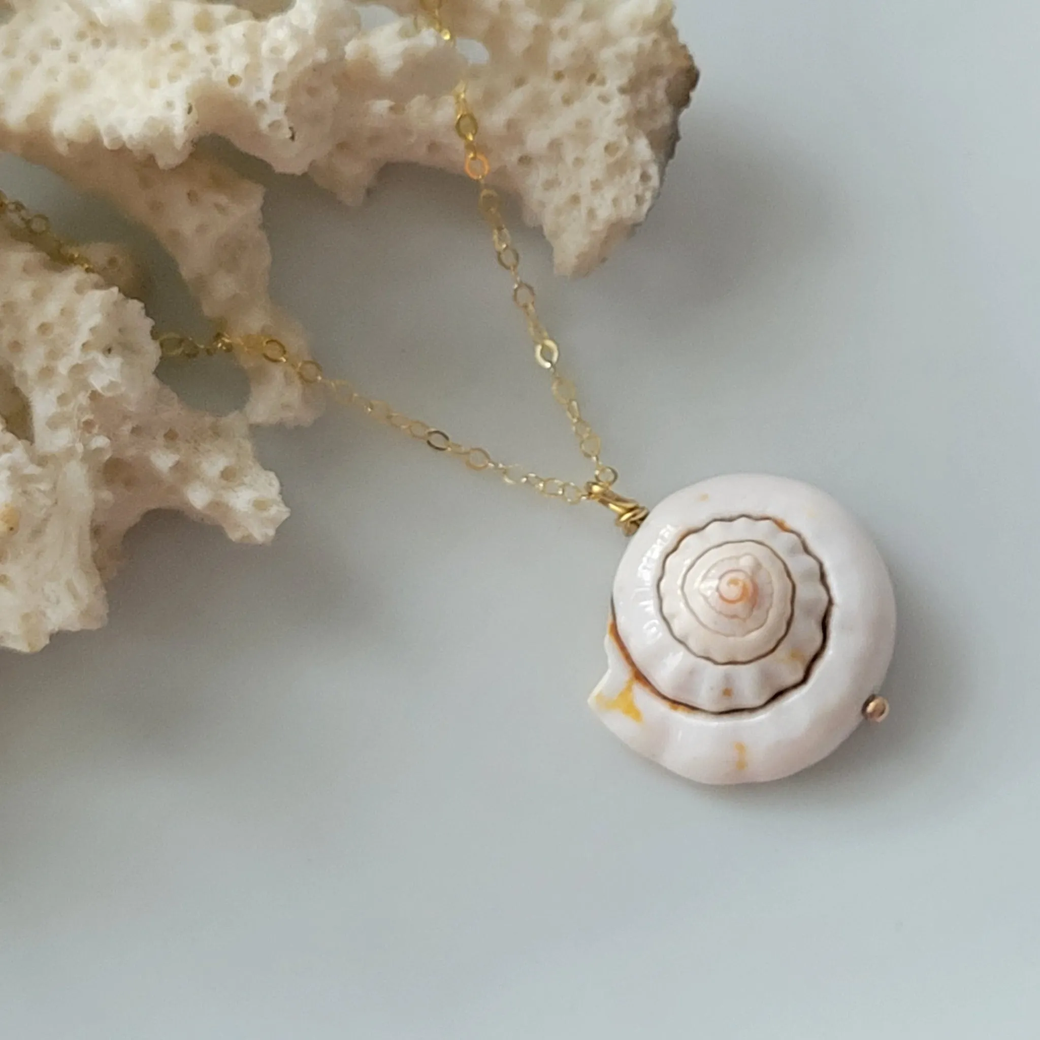 Unique Shell Drop Necklace - Sterling, Gold, or Rose Gold