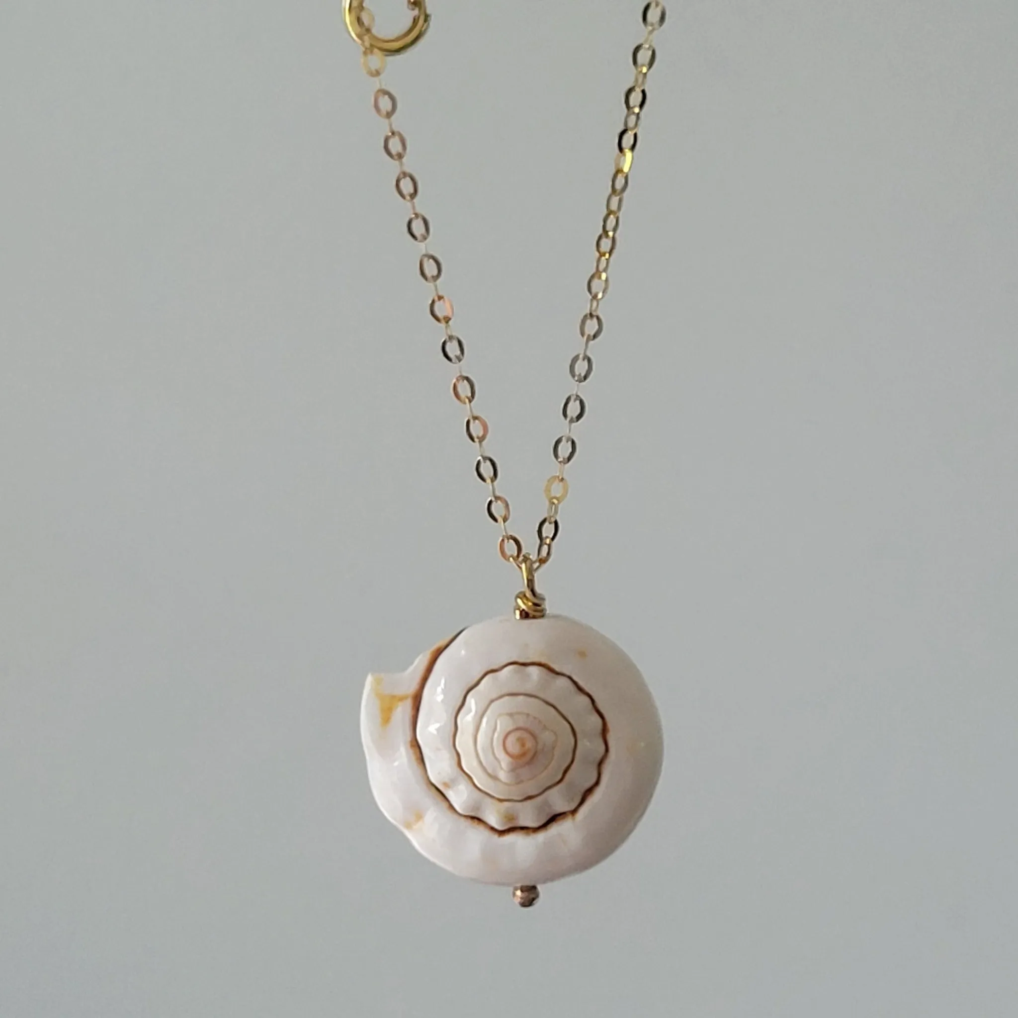 Unique Shell Drop Necklace - Sterling, Gold, or Rose Gold