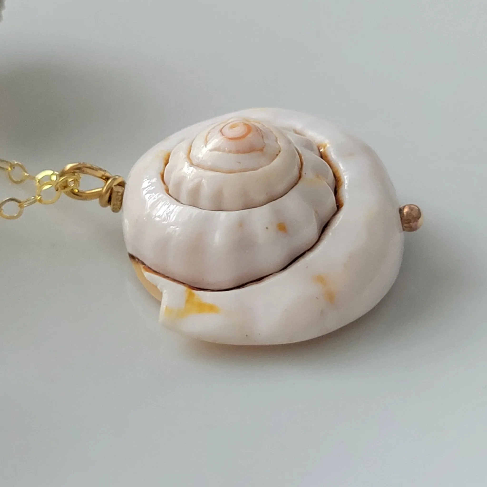 Unique Shell Drop Necklace - Sterling, Gold, or Rose Gold