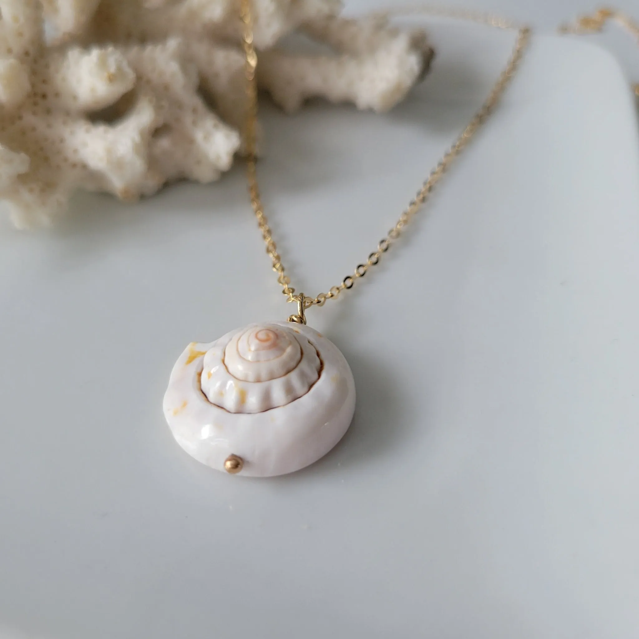 Unique Shell Drop Necklace - Sterling, Gold, or Rose Gold