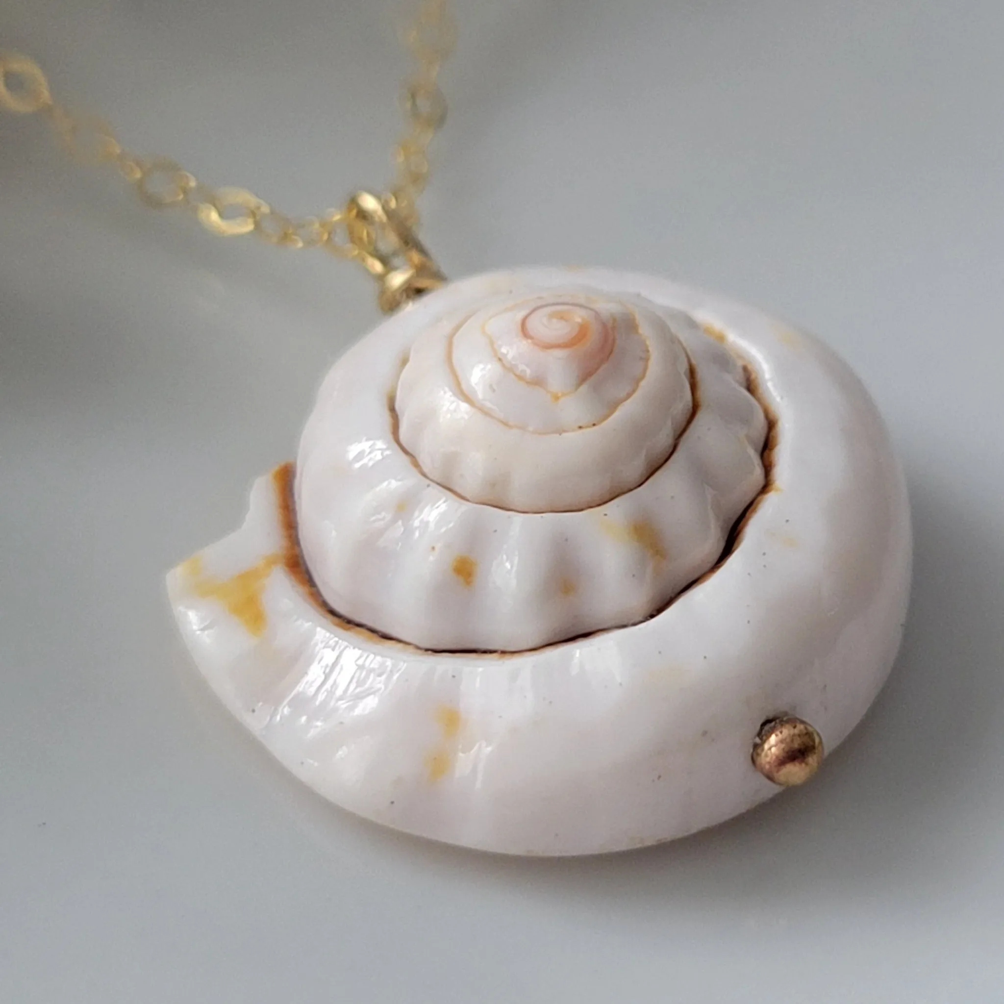 Unique Shell Drop Necklace - Sterling, Gold, or Rose Gold