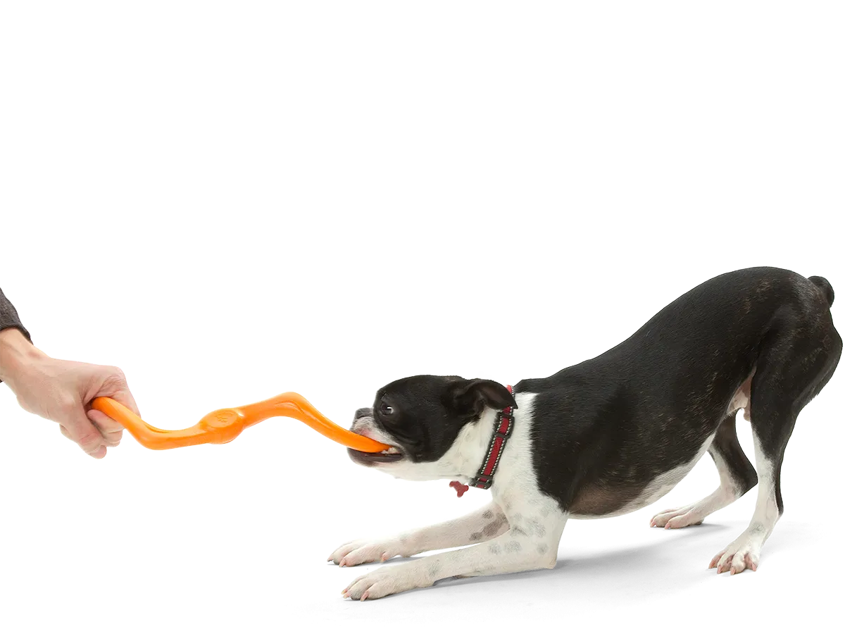 West Paw - Bumi® Dog Toy for Chew, Tug, and Fetch