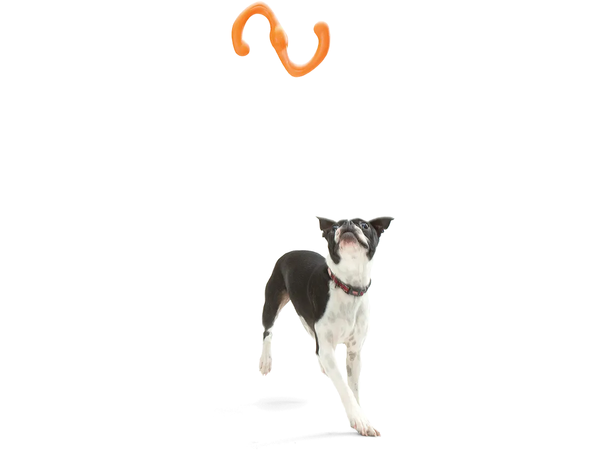 West Paw - Bumi® Dog Toy for Chew, Tug, and Fetch