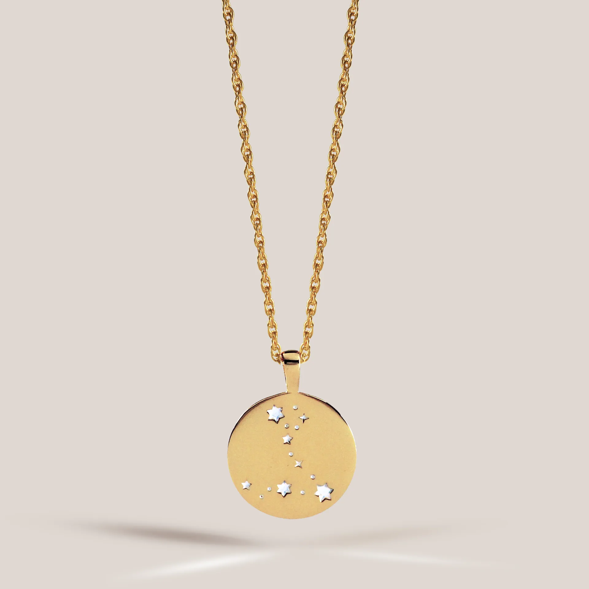 Zodiac Necklace / pisces